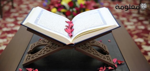 ماهي السورة التي ختمت باسم نبيين