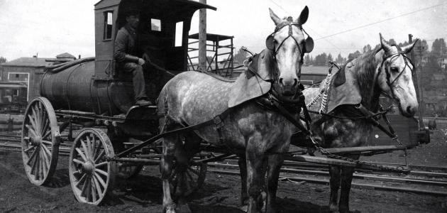 الحياة في الماضي