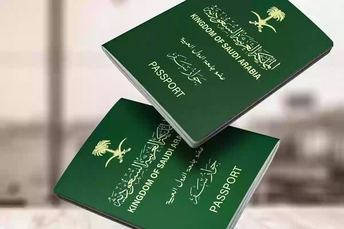 طريقة الاستعلام عن تأشيرة الزيارة العائلية 2025 برقم الطلب عبر منصة التأشيرات السعودية