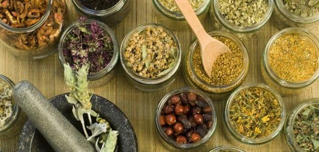 استخدام الأعشاب للتسمين