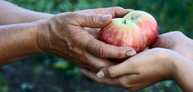 تعبير عن الكرم مقدمة عرض خاتمة أولى ثانوي