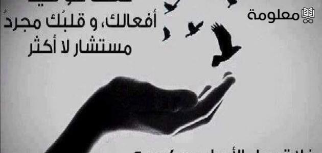 كلمات عن الحياة 2025 كلمات مؤثرة عن الحياة