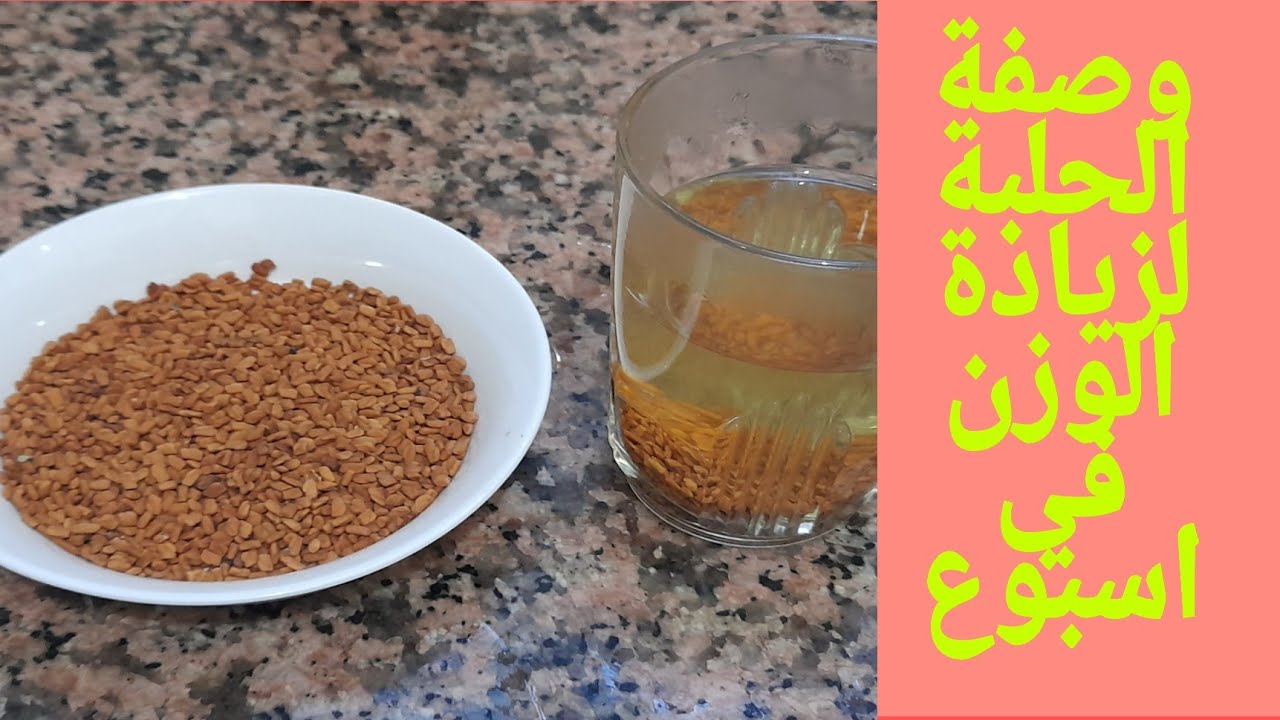 كيف أزيد وزني بالحلبة في أسبوع