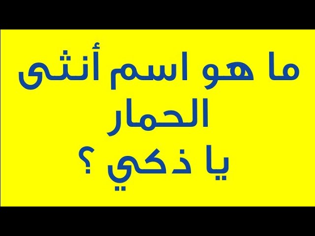 اسئلة ذكاء يوتيوب