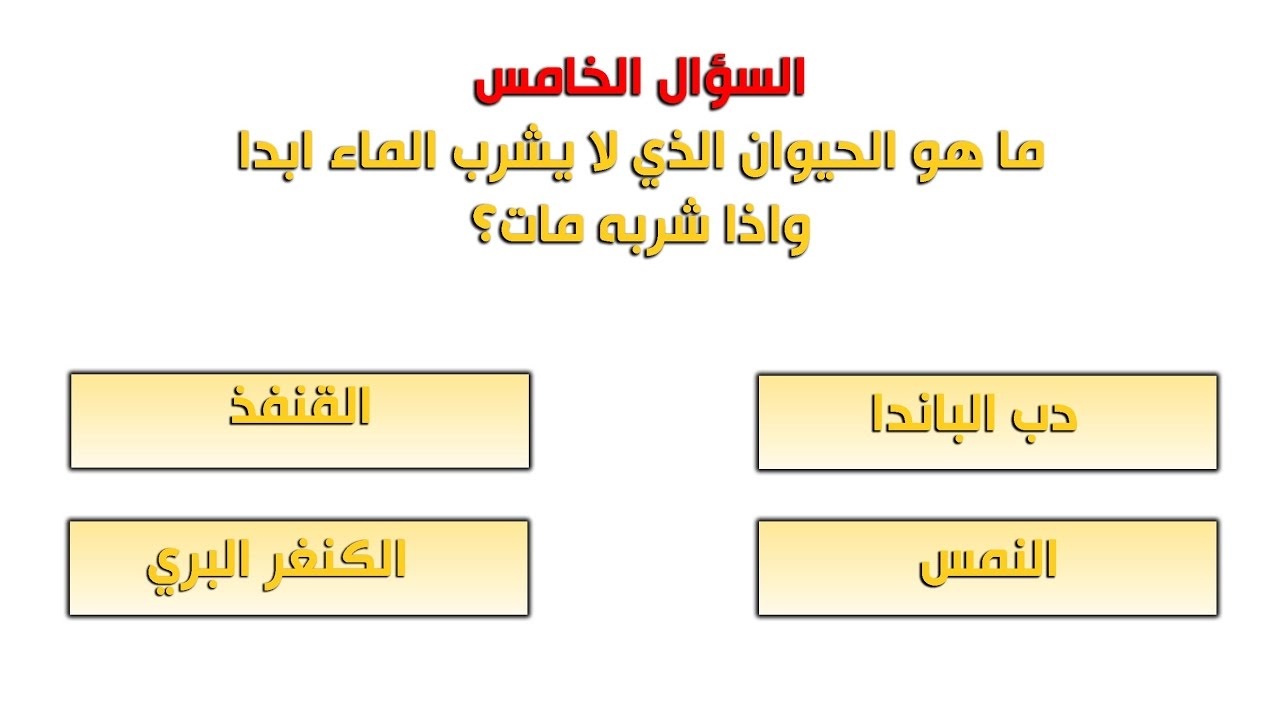 اسئله عامه واربع خيارات