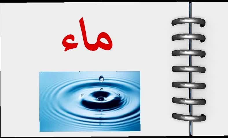 كلمات تبدأ بحرف الميم