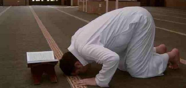 كم عدد النوافل الصلاة.. ماذا تقرأ في صلاة النوافل