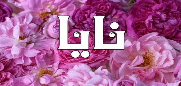 اسماء بنات طاقتها حلوه