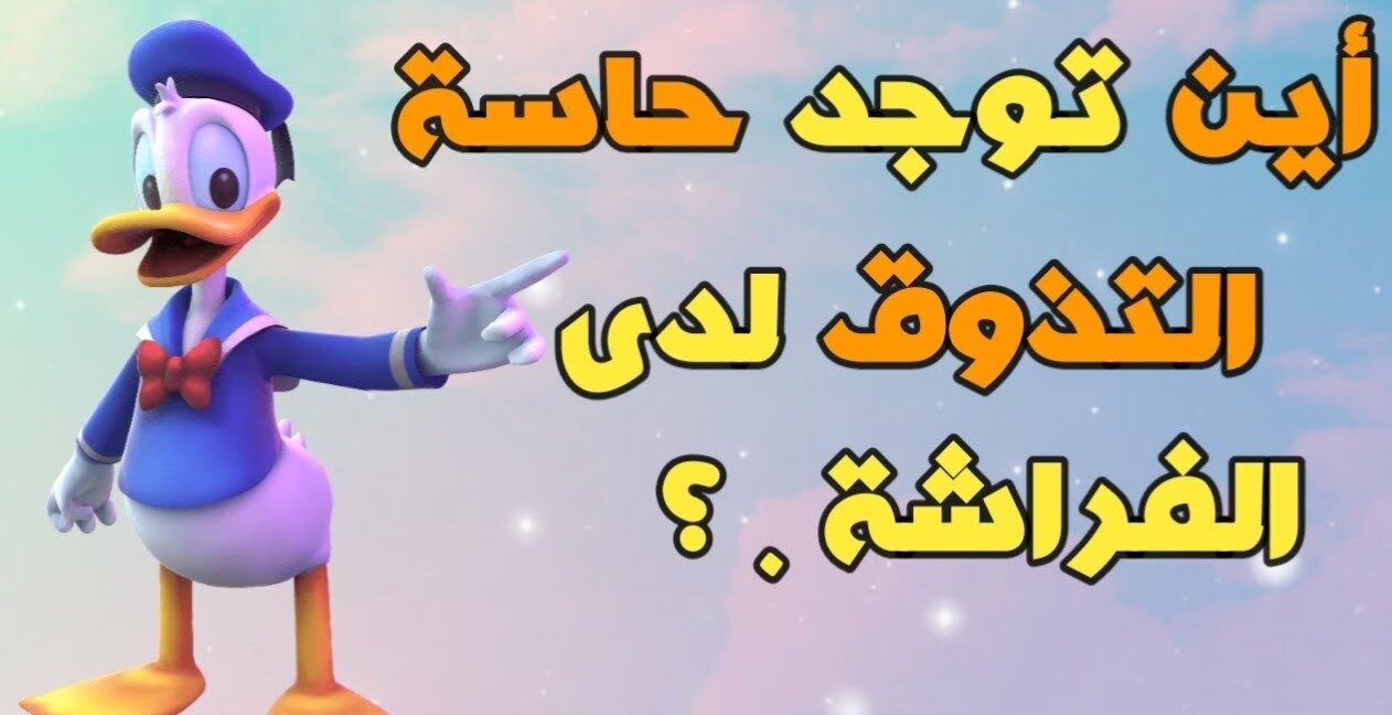 أسئلة ذكاء للاطفال واجوبتها