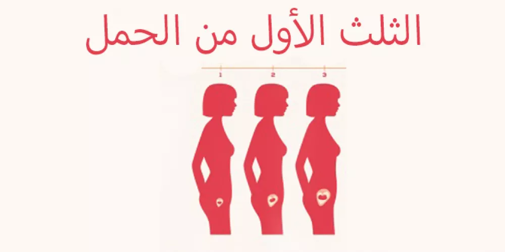 أعراض الحمل بالأسبوع الأول والثاني.. ما هو شعور اول اسبوع حمل؟