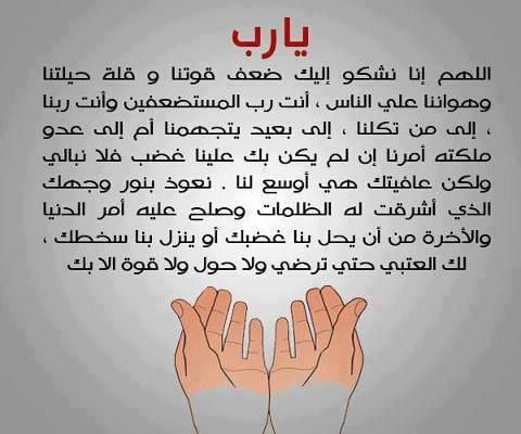 الثناء على الله قبل الدعاء تويتر