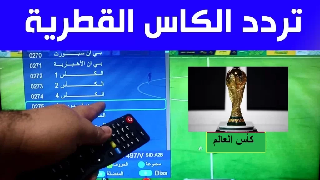 تردد قناة الكأس 3