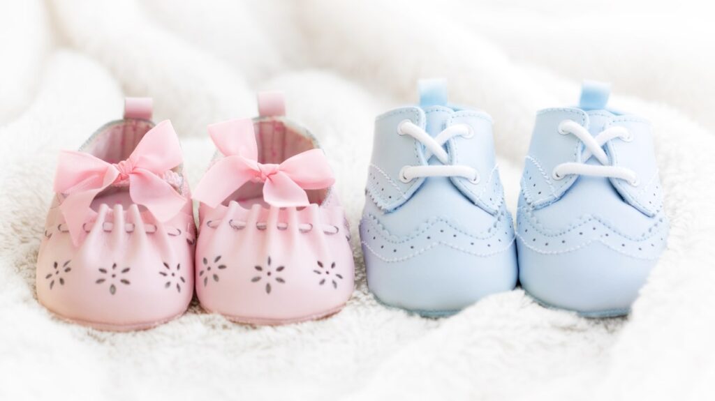 الجدول الصيني 2025 كيف اعرف نوع الجنين من تاريخ الحمل