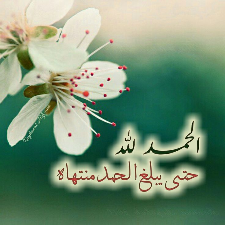 الحمدلله حتى يبلغ الحمد منتهاه