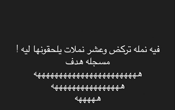 نكت تضحك موت عن النمل