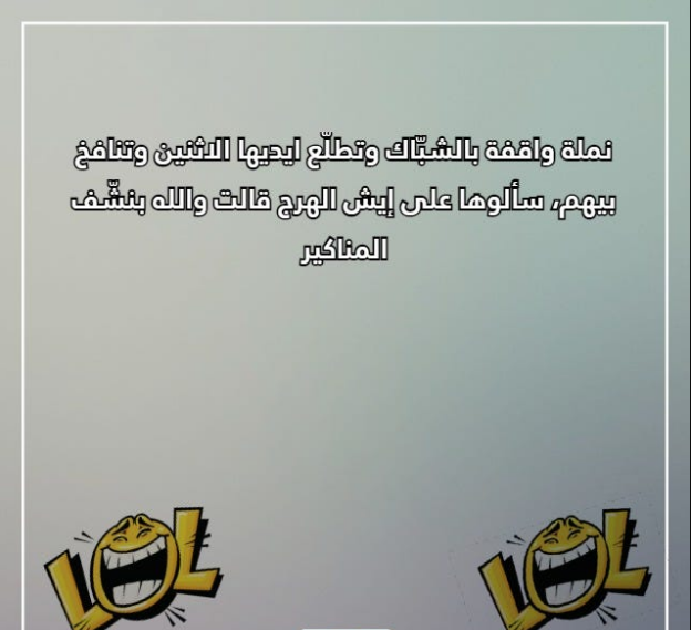 نكت تضحك موت عن النمل