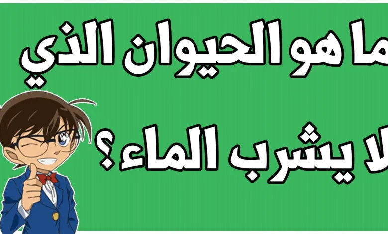 أسئلة عامة سهلة للأطفال