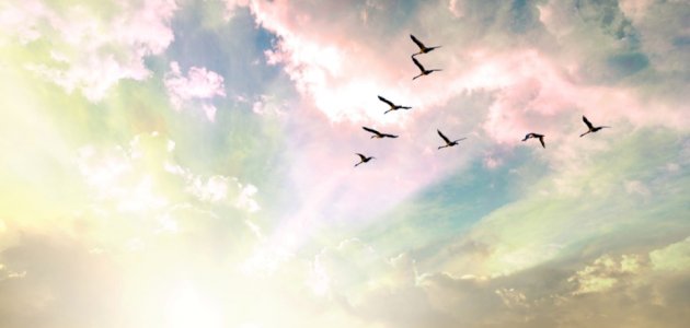 بحث حول عيد الاستقلال