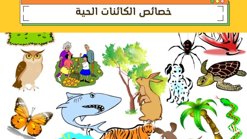 بحث عن خصائص الكائنات الحية