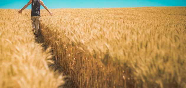 صعوبات العيش في الريف.