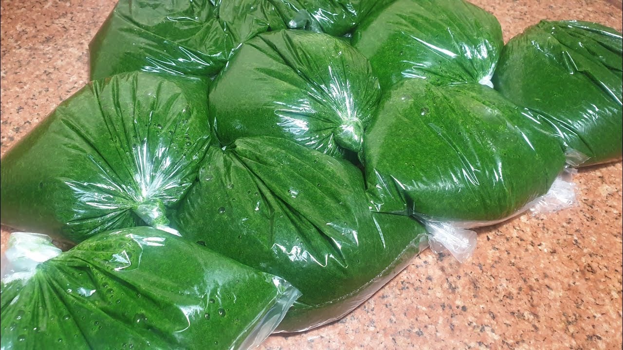 طريقة حفظ الملوخية بالخطوات