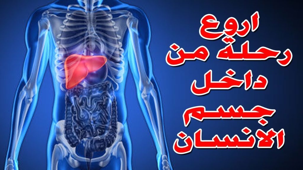 عجائب جسم الإنسان