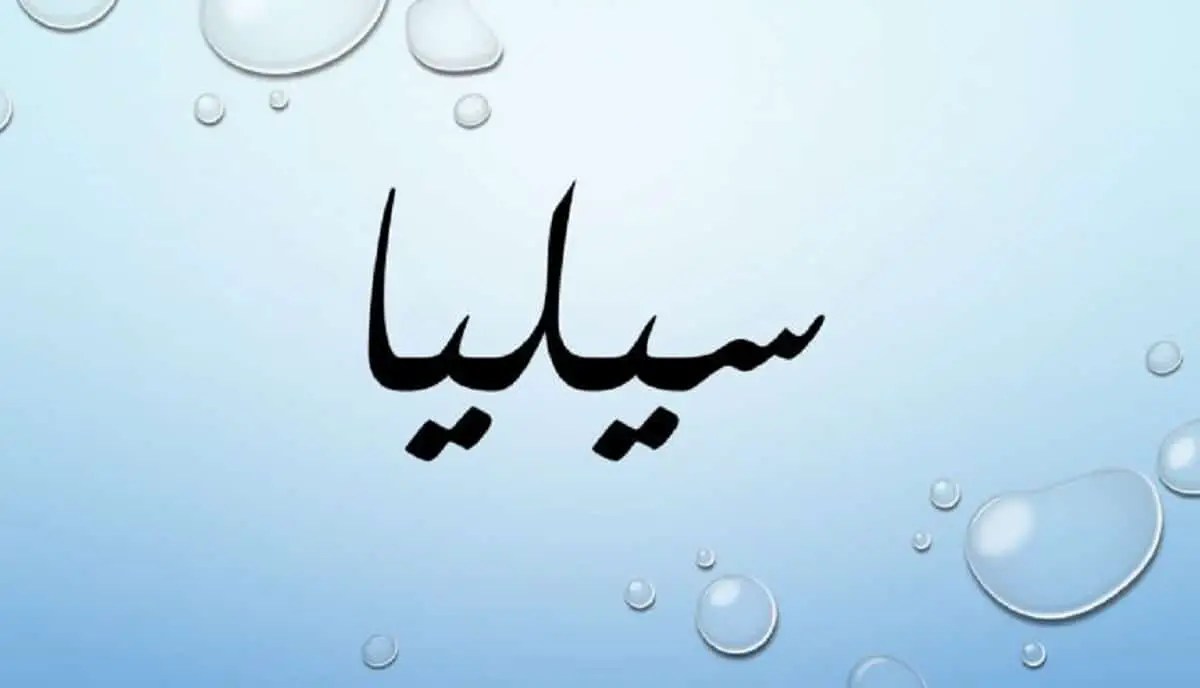 معنى اسم سيليا