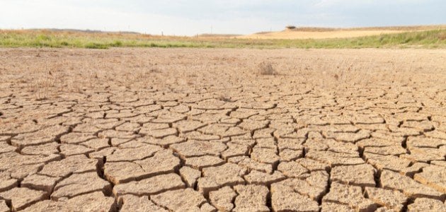 أضرار التصحر