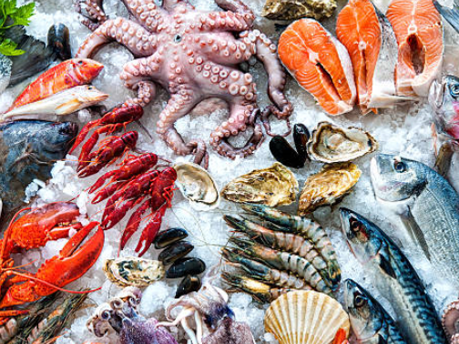 استقرار أسعار السمك في مصر اليوم وسط ارتفاع محدود في بعض الأصناف