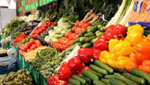 استقرار أسعار الخضروات في أسواق مطروح اليوم السبت 1 نوفمبر 2025