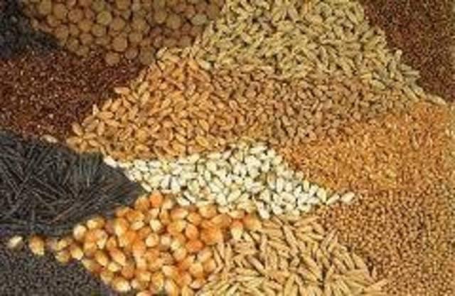 تباين أسعار الأعلاف والخامات في مصر اليوم الاثنين 10-11-2025