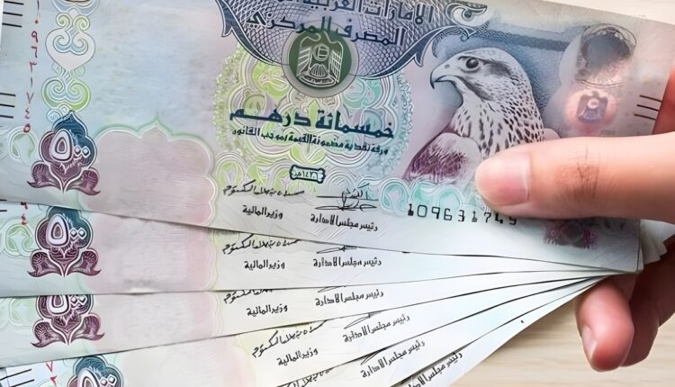استقرار سعر الدرهم الإماراتي مقابل الجنيه المصري اليوم الجمعة