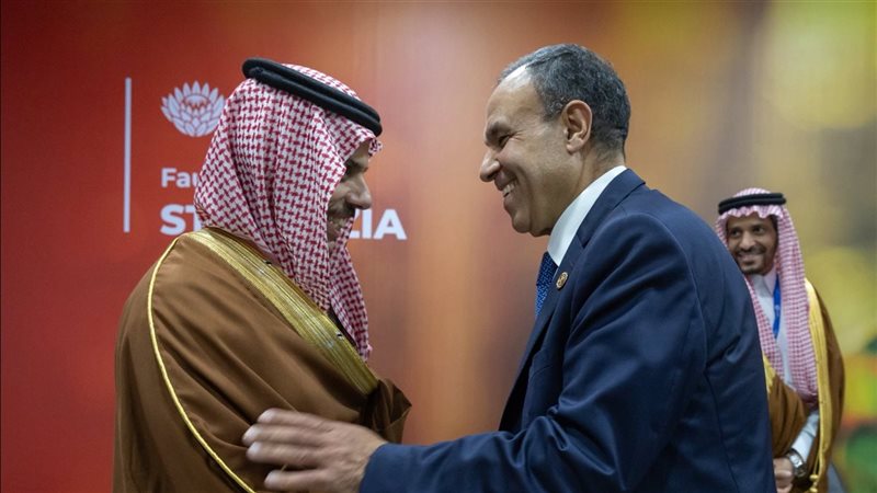 وزير الخارجية السعودي يلتقي نظيره المصري على هامش قمة العشرين بجنوب أفريقيا