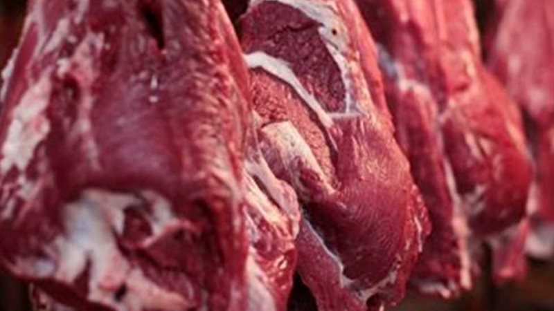 أسعار اللحوم في مصر تتأرجح بين 290 و500 جنيه للكيلو مع تعاملات الأحد 16 نوفمبر 2025