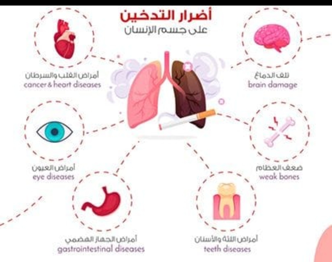 الدولة تكثف جهودها للحد من أضرار التدخين وحماية الصحة العامة