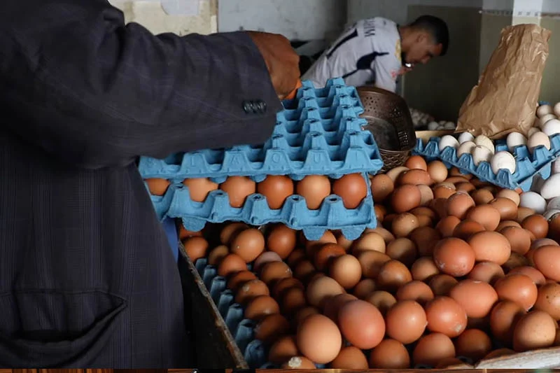 انخفاض أسعار البيض في مصر اليوم الاثنين 10-11-2025
