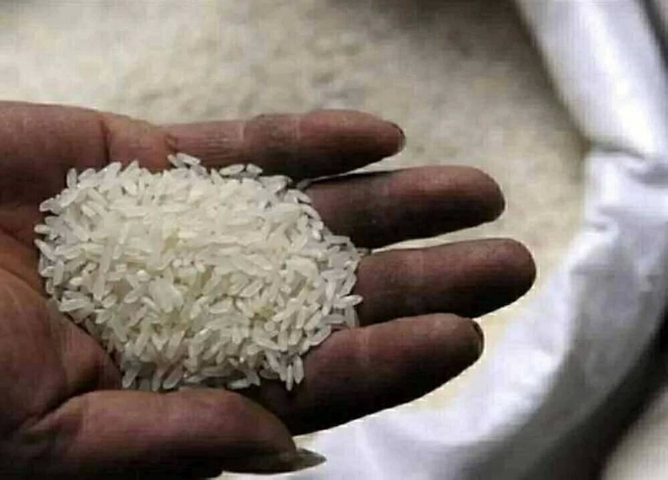 مدبولي: مصر تحقق الاكتفاء الذاتي من الأرز والنمو الاقتصادي مبشر