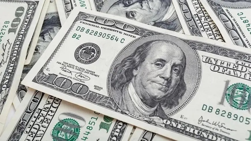 استقرار سعر الدولار أمام الجنيه المصري اليوم
