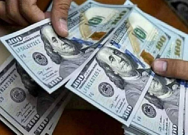 استقرار سعر الدولار أمام الجنيه المصري في البنوك اليوم الخميس