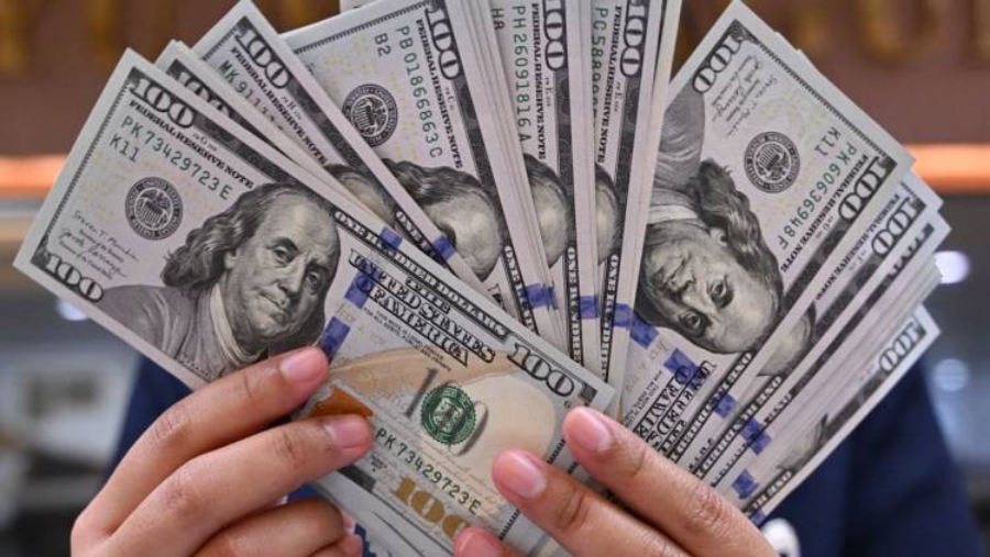 استقرار سعر الدولار أمام الجنيه المصري اليوم الأحد