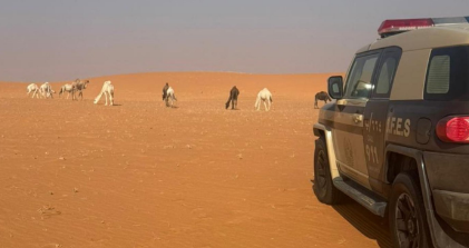 القوات الخاصة للأمن البيئي تضبط مخالفًا لرعي الإبل في محمية الإمام عبدالعزيز
