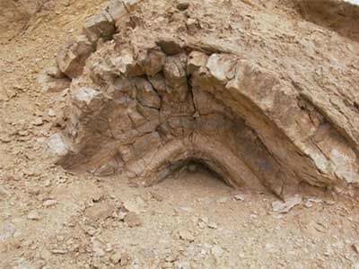 قبة الحسنة.. متحف جيولوجي مفتوح يعود لـ40 مليون سنة في قلب الجيزة