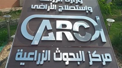 الزراعة تطلق اول مختبر حي لسلسلة قيمة القمح لتعزيز الانتاج والامن الغذائي