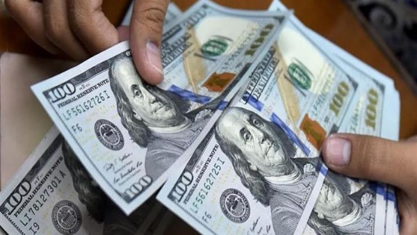 استقرار سعر الدولار أمام الجنيه المصري في البنوك اليوم الثلاثاء