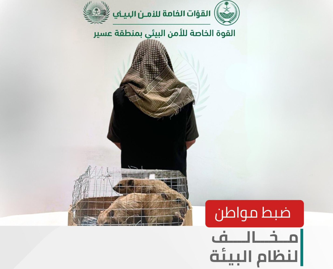 الأمن البيئي يضبط مواطنًا عرض كائنات فطرية دون ترخيص بعسير