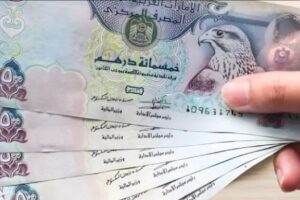 ثبات سعر الدرهم الإماراتي أمام الجنيه المصري اليوم الجمعة بالبنوك