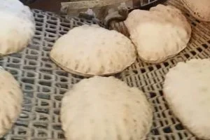 وزير التموين يوجه باستمرار إنتاج الدقيق بالمواصفات ورفع طاقة مطحن الإسكندرية