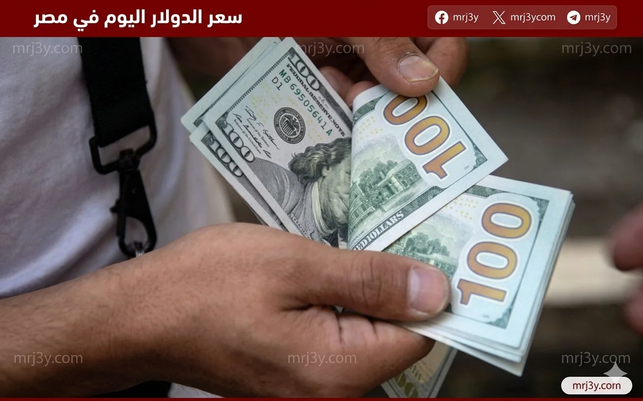 استقرار سعر الدولار في مصر اليوم