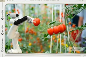 الروبوت الفلاح.. تقنية ذكية تراقب المحاصيل وتزيد كفاءة المزارع