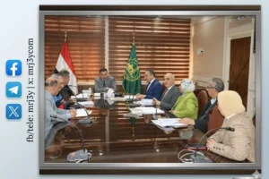 المركز القومي للسينما يستأنف إنتاج أفلام التحريك بفيلم “الكندة” بعد توقف خمس سنوات